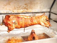 Seniorenangeln 2017 058