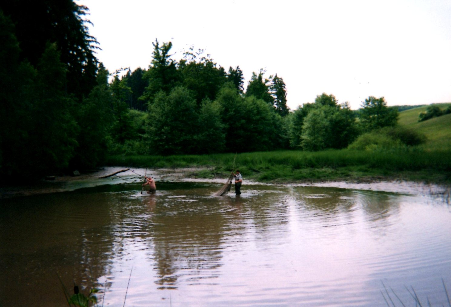 Ablassen und Ausbaggern 4. Teich 2002